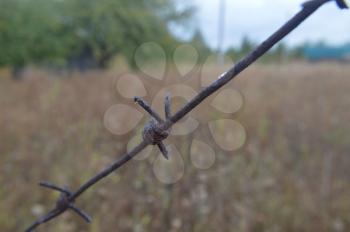 Barbed wire stretched on a fence for security