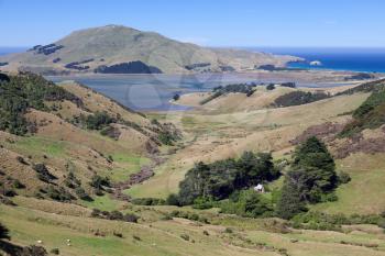 Scenic view of the  countryside in the Otago Peninsula