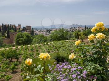 GRANADA, ANDALUCIA/SPAIN - MAY 7 : View from the Alhambra Palace gardens in Granada Andalucia Spain on May 7, 2014