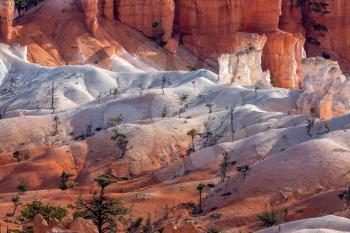 Scenic view of Bryce Canyon Southern Utah USA