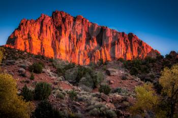 Glowing Rockface at Sunset in Zion National Park