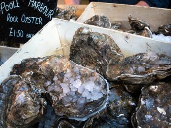 Oysters for Sale in Borough Market