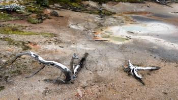 Artist Paint Pots in Yellowstone National Park