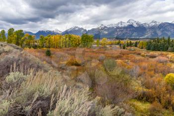 Scenic View of the Grand Teton National Park