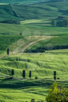 Countryside of Val d'Orcia near Pienza in Tuscany