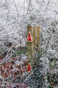 Wooden post with traffic reflectors covered in ivy and hoar frost