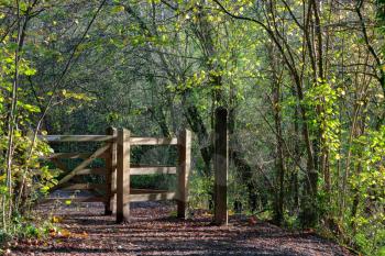 Wooden swing gate in the Sussex countryside