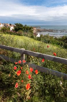 View of Pittenweem in Fife