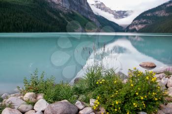 View of Lake Louise in Canada