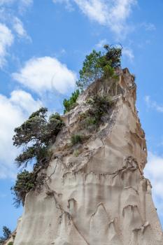 Unusual rock formation at Cathedral Cove on the Coromandel Peninsula