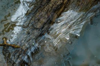 Ice on a drainage ditch in East Grinstead