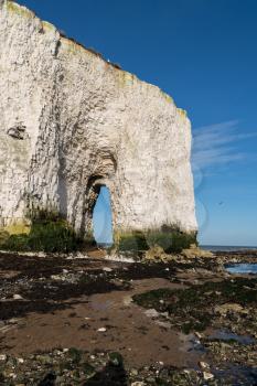 View of chalk cliffs at Botany Bay near Broadstairs in Kent