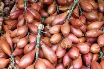 Onions for sale on a market stall in Bergamo