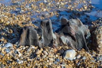 Remains of an old wooden groyne at Eastbourne