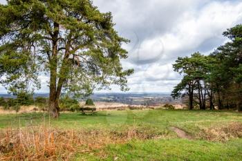 View of the Ashdown Forest in Sussex
