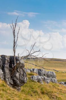 View of the Limestone Pavement near the village of Conistone in the Yorkshire Dales National Park
