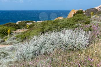The coastline at Capo Testa Sardinia
