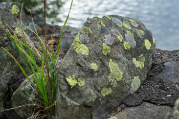 Lichen covered rock at Ullswater