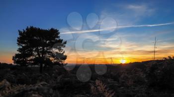 Sunset over the Ashdown Forest in Sussex