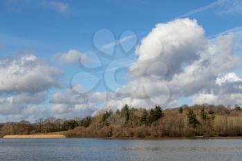 View of Ardingly Reservoir on a sunny winter's day