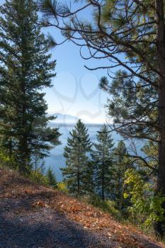 View of Seeley Lake Missoula County in Montana through the trees