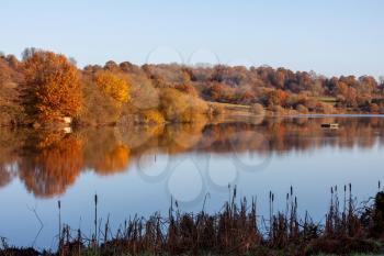 Russet colours of autumn at Weir Wood Reservoir near East Grinstead