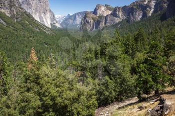 Forested valley in Yosemite on a Summer's Day