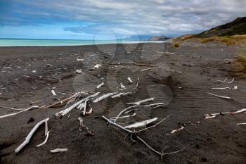 Debris and driftwood on Rarangi Beach in New Zealand