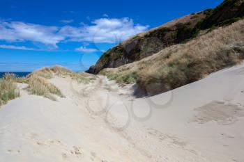 Sand dune at Sandfly Bay in New Zealand
