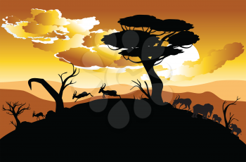 Colorful sunset scene, african landscape with silhouette of trees and antelopes.