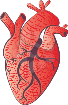Stylized human heart design, grunge illustration over white.