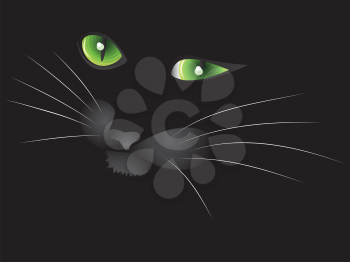 Cartoon face of halloween cat on black background.