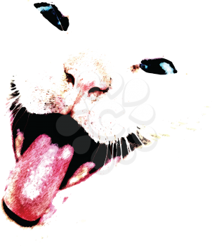 Abstract grunge portrait of a smiling cat on white background.