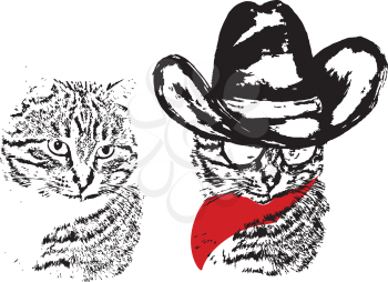 Abstract grunge portrait of a cat in a cowboy hat on white background.