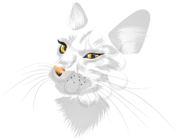 Illustration of a cat with yellow eyes on white background.
