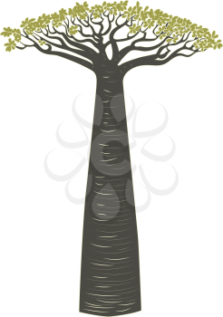 Stylized baobab tree, abstract tree silhouette design illustration.
