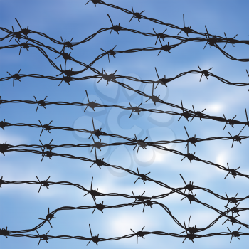 Metal barbed wire against blurry sky background.