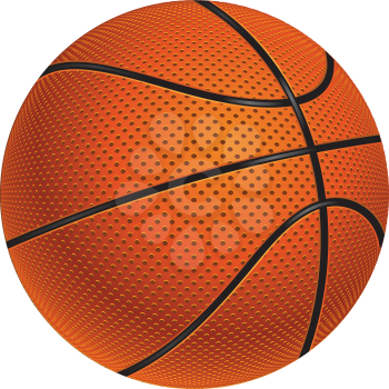 Detailed basketball ball illustration on white background.