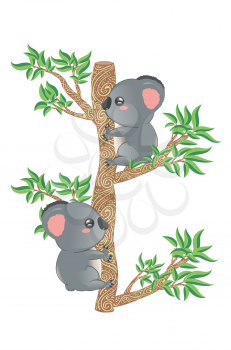 Cute cartoon couple of koala bears, lovely Valentines day illustration.