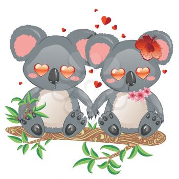Cute cartoon couple of koala bears, lovely Valentines day illustration.