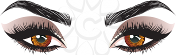 Fashion female brown eyes with decorative makeup illustration.
