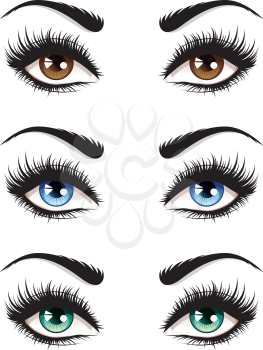 Detailed female eyes with long eyelashes illustration on white background.