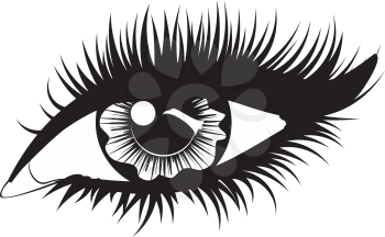 Fashion female eye with long eyelashes in black and white design.