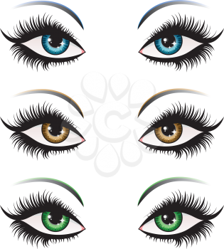 Illustration of woman eyes in different color with long eyelashes.