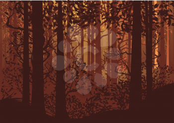 Deciduous autumn forest landscape with silhouettes of trees and grass.