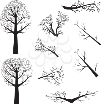 Dead trees silhouette and branches without leaves on white background.