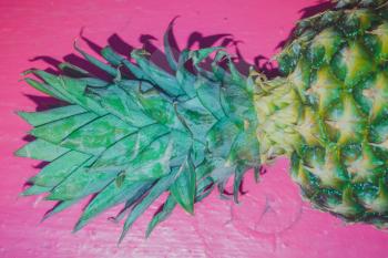 Close up of green pineapple top leaves background.