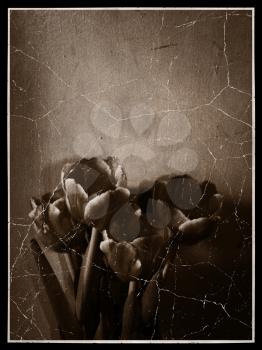 Retro styled photo of tulip flowers, vintage effect background.