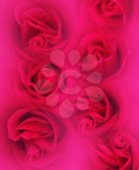 Colorful grunge retro paper background with roses.