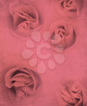 Colorful grunge retro paper background with roses.